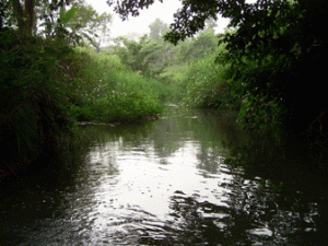 osun-river